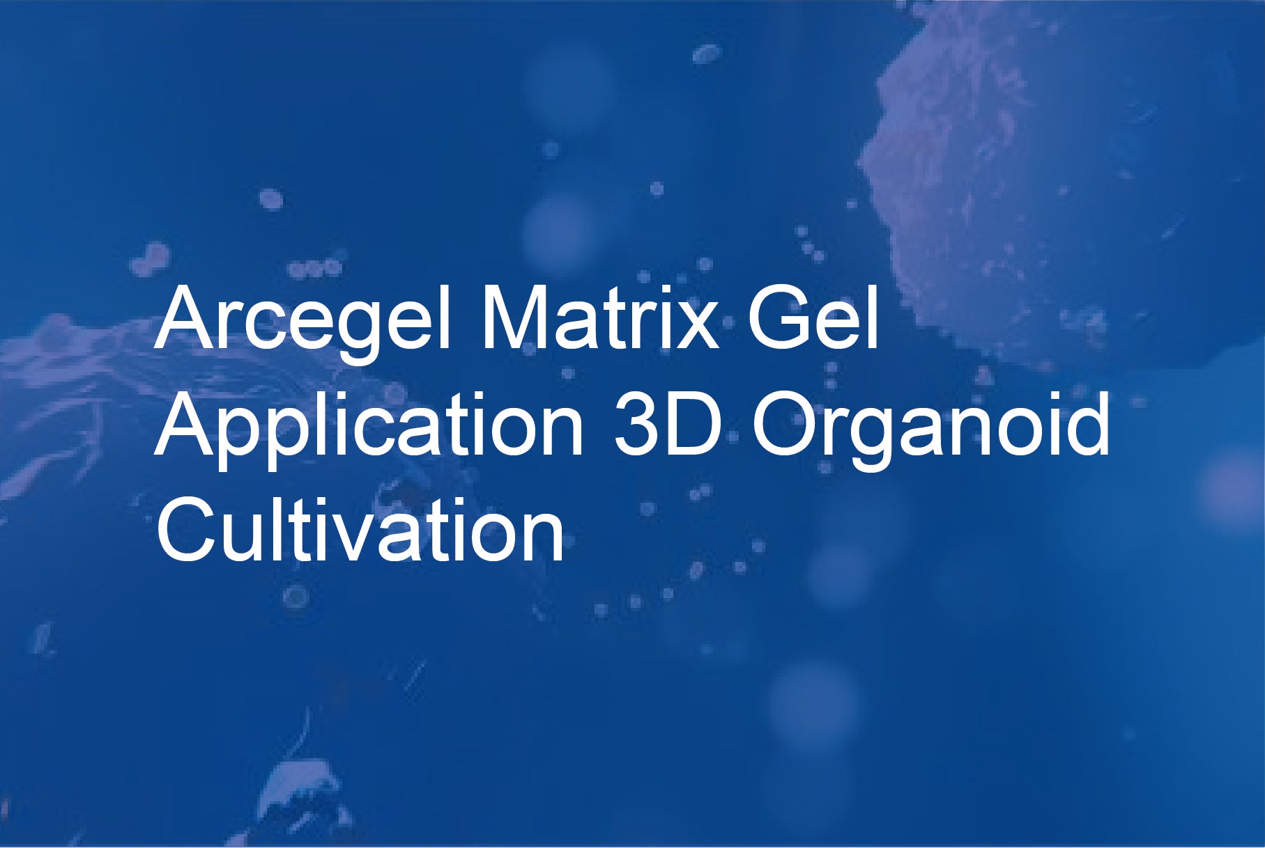 Arcegel Matrix Gel Application - 3D Organoid Cultivation