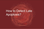How to Detect Late Apoptosis?