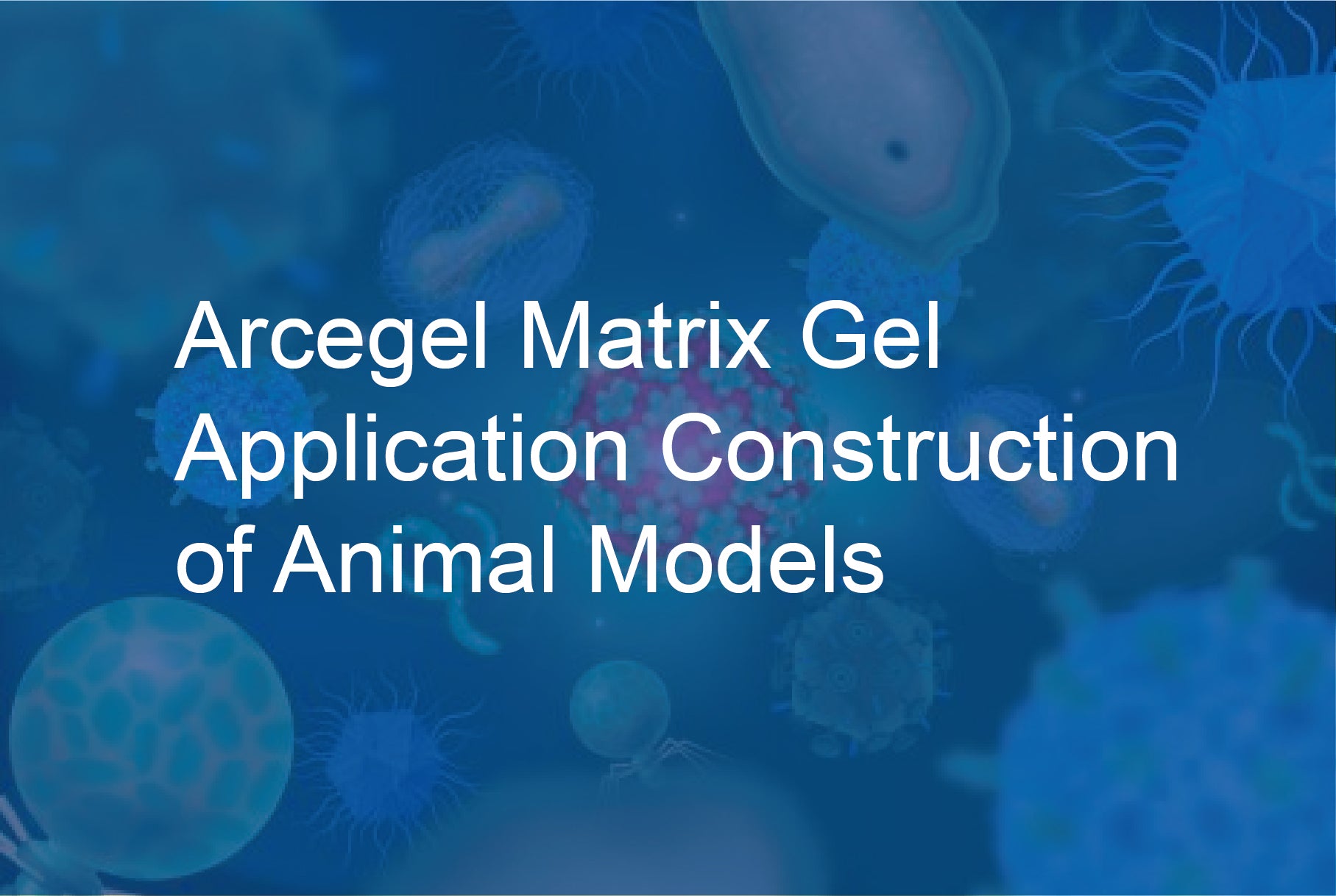 Arcegel Matrix Gel Application - Construction of Animal Models