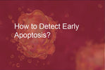 How to Detect Early Apoptosis?
