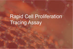 Rapid Cell Proliferation Tracing Assay