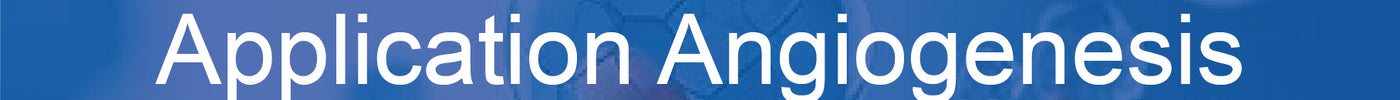 Arcegel Matrix Gel Application - Angiogenesis Experiment