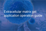 Extracellular matrix gel application operation guide