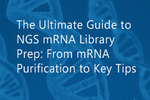 The Ultimate Guide to NGS mRNA Library Prep: From mRNA Purification to Key Tips