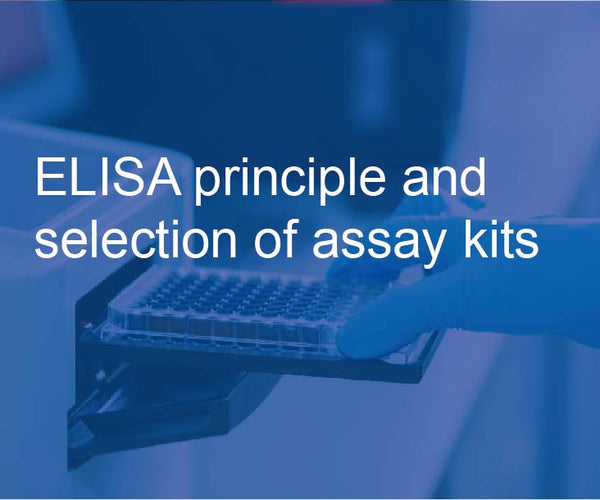ELISA principle and selection of assay kits – Arcegen