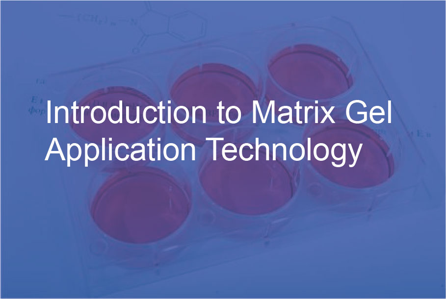 Introduction to Matrix Gel Application Technology