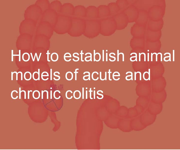 How to establish animal models of acute and chronic colitis Arcegen