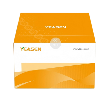 Yeasen Product