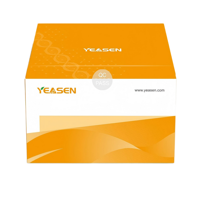 Yeasen Product