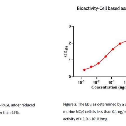 Recombinant Human IL-10 Protein, His tag_C230246