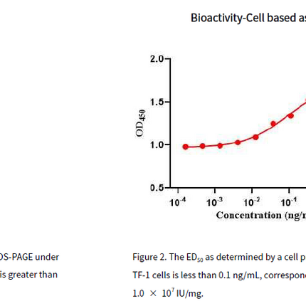 Recombinant Human GM-CSF Protein, His tag_C230242