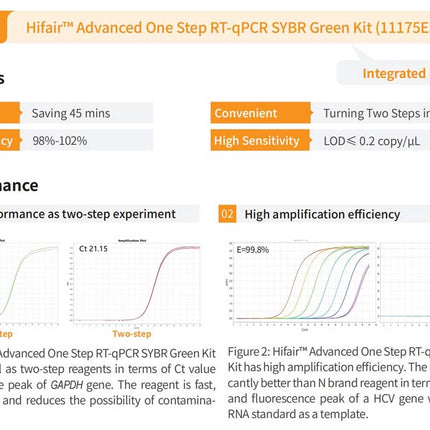 Universal One Step RT-qPCR Fluore Green Kit