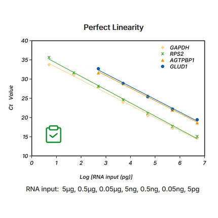 1st Strand cDNA Synthesis SuperMix (gDNA digester plus, for qPCR)