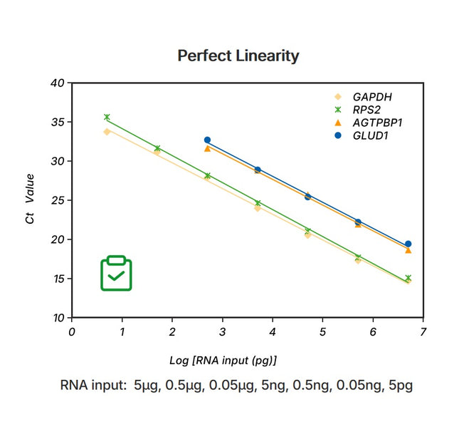 1st Strand cDNA Synthesis SuperMix (gDNA digester plus, for qPCR)