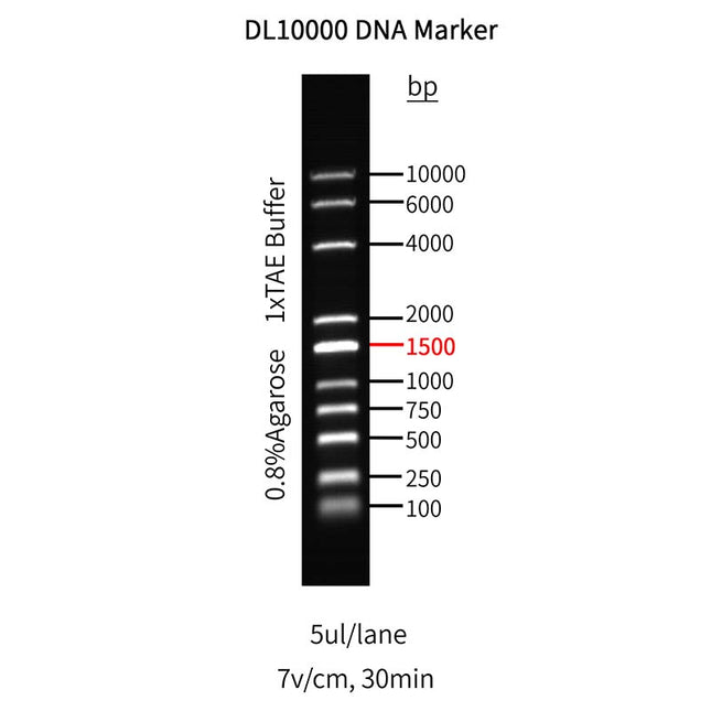 glutathione magnetic agarose beads protocol GST-Tag The matrix of the beads is a 4% beaded glutathione peroxidase and glyoxalase I from cell lysates and other biological samples Products Arcegen
